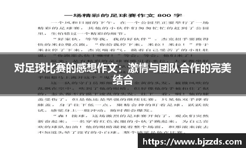 对足球比赛的感想作文：激情与团队合作的完美结合