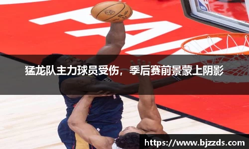 mk体育官网入口