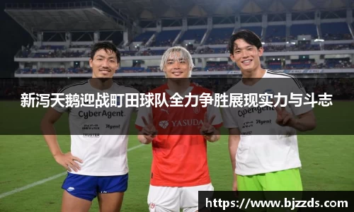 mk体育官网入口