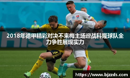 mk体育平台