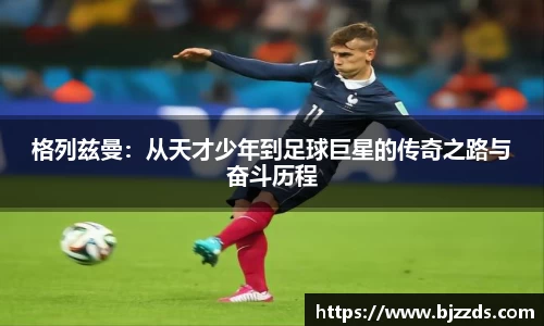 mk体育官网入口