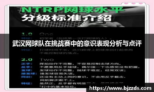 mk体育官网入口